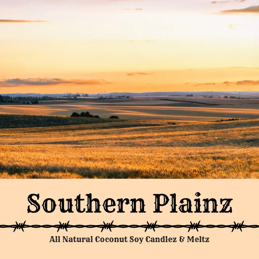 Southern Plainz - Clear Square Jar